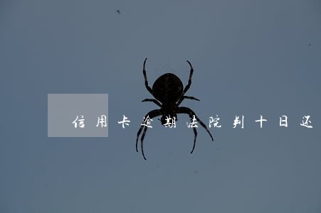 信用卡逾期法院判十日还清 信用卡逾期法院判十日还清