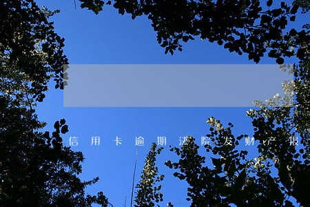 信用卡逾期法院发财产报表 信用卡逾期法院发财产报表