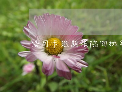 信用卡逾期法院回执单啥样 信用卡逾期法院回执单啥样