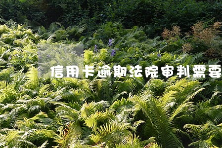 信用卡逾期法院审判需要多久 信用卡逾期法院审判需要多久