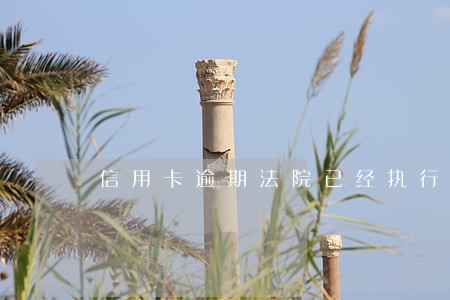 信用卡逾期法院已经执行 信用卡逾期法院已经执行
