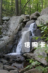 信用卡逾期法院已经立案 信用卡逾期法院已经立案