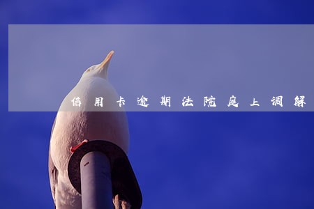 信用卡逾期法院庭上调解 信用卡逾期法院庭上调解