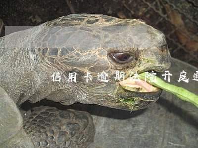 信用卡逾期法院开庭通知