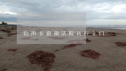 信用卡逾期法院执行上门 信用卡逾期法院执行上门