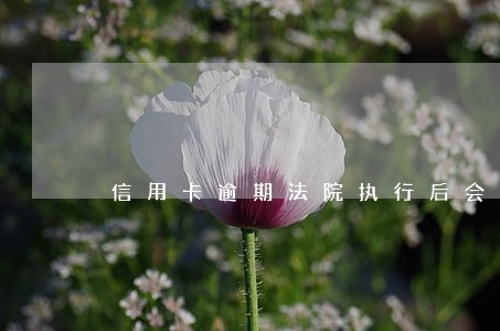 信用卡逾期法院执行后会怎么样