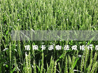 信用卡逾期法院执行后果 信用卡逾期法院执行后果