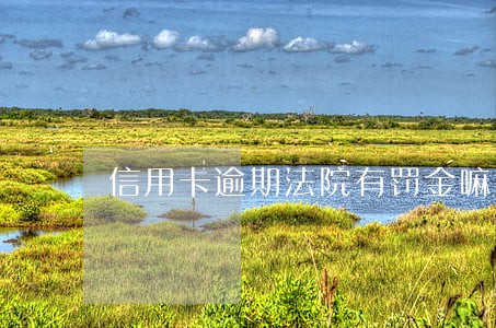 信用卡逾期法院有罚金嘛 信用卡逾期法院有罚金嘛