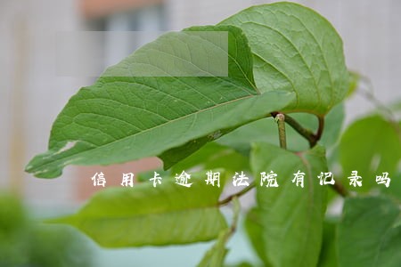 信用卡逾期法院有记录吗