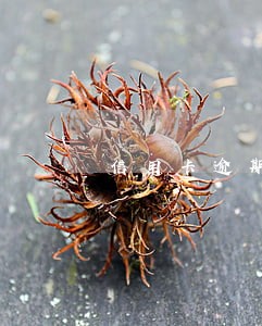 信用卡逾期法院来人真没钱 信用卡逾期法院来人真没钱