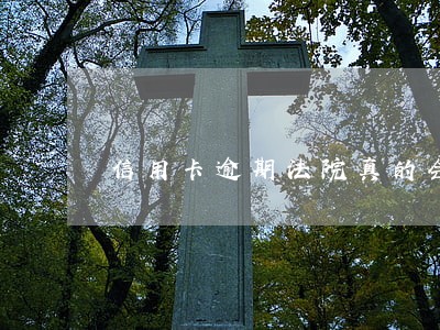 信用卡逾期法院真的会强制执行吗 信用卡逾期法院真的会强制执行吗