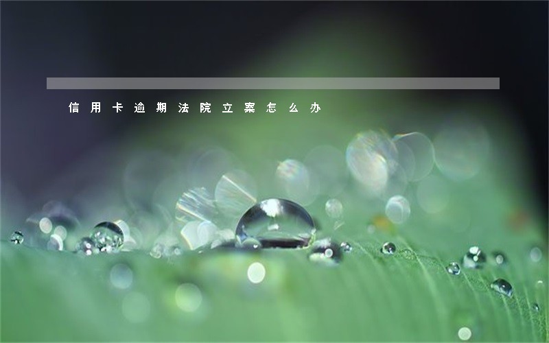 信用卡逾期法院立案怎么办