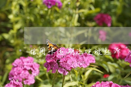 信用卡逾期法院被起诉 信用卡逾期法院被起诉