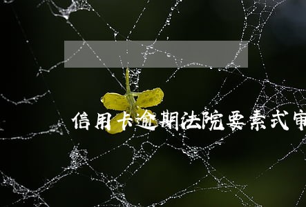 信用卡逾期法院要素式审理 信用卡逾期法院要素式审理