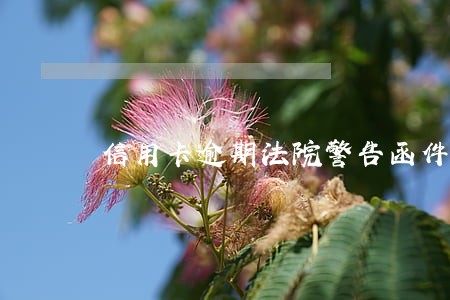 信用卡逾期法院警告函件 信用卡逾期法院警告函件