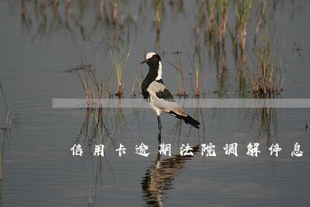 信用卡逾期法院调解停息还款 信用卡逾期法院调解停息还款