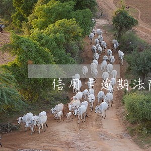信用卡逾期法院调解通知 信用卡逾期法院调解通知