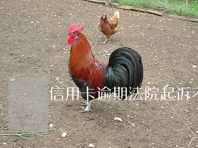 信用卡逾期法院起诉不到的话 信用卡逾期法院起诉不到的话
