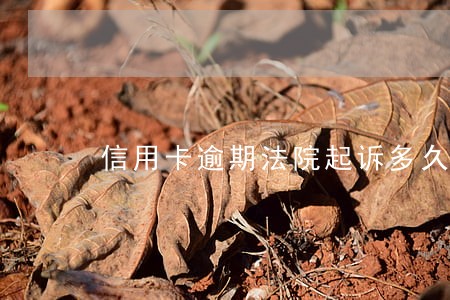 信用卡逾期法院起诉多久还款 信用卡逾期法院起诉多久还款