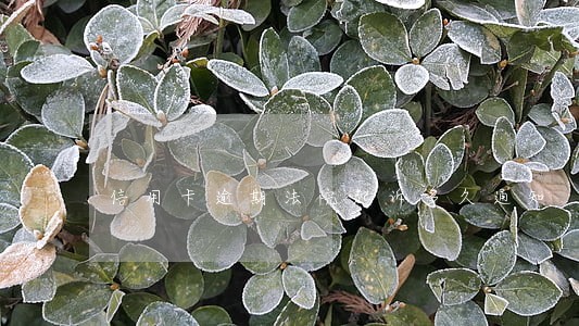 信用卡逾期法院起诉多久通知 信用卡逾期法院起诉多久通知