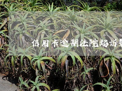信用卡逾期法院起诉影响孩子吗 信用卡逾期法院起诉影响孩子吗