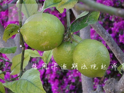 信用卡逾期法院起诉怎么还款 信用卡逾期法院起诉怎么还款