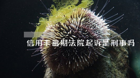 信用卡逾期法院起诉是刑事吗 信用卡逾期法院起诉是刑事吗
