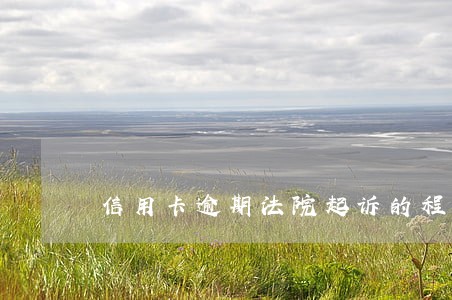 信用卡逾期法院起诉的程序 信用卡逾期法院起诉的程序