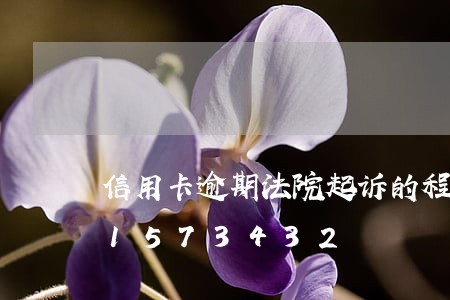 信用卡逾期法院起诉的程序/2023031573432 信用卡逾期法院起诉的程序/2023031573432