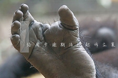 信用卡逾期法院起诉立案 信用卡逾期法院起诉立案
