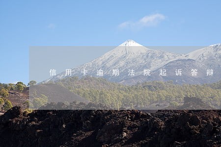 信用卡逾期法院起诉答辩状 信用卡逾期法院起诉答辩状