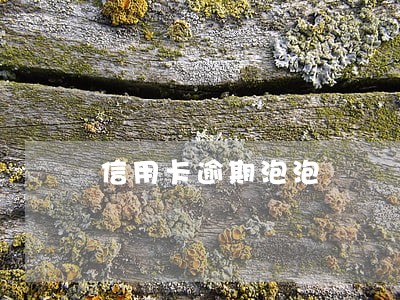 信用卡逾期泡泡 信用卡逾期泡泡