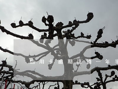 信用卡逾期注销一年半