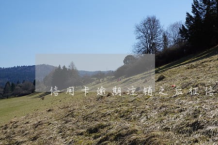 信用卡逾期注销之后征信记录