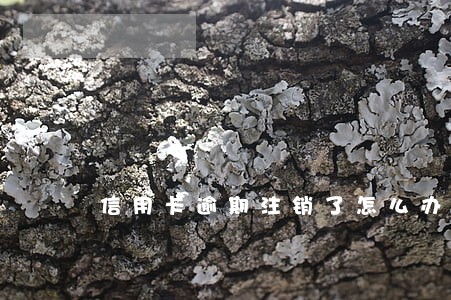 信用卡逾期注销了怎么办理吗 信用卡逾期注销了怎么办理吗