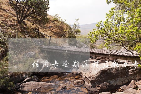 信用卡逾期注销后能办卡吗
