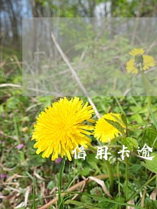 信用卡逾期注销后还算利息吗 信用卡逾期注销后还算利息吗