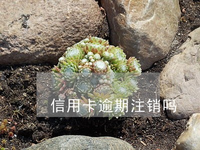 信用卡逾期注销吗 信用卡逾期注销吗