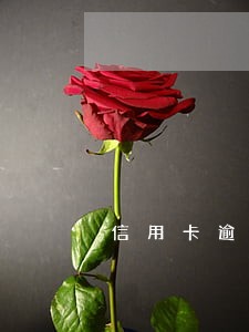 信用卡逾期注销征信能消吗 信用卡逾期注销征信能消吗