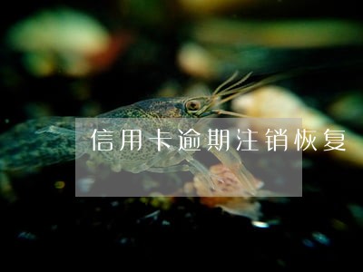 信用卡逾期注销恢复 信用卡逾期注销恢复