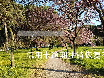 信用卡逾期注销恢复不了 信用卡逾期注销恢复不了