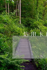信用卡逾期注销有什么影响 信用卡逾期注销有什么影响