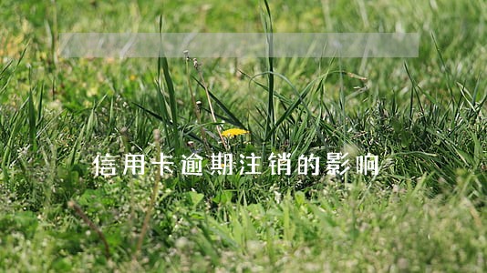 信用卡逾期注销的影响 信用卡逾期注销的影响