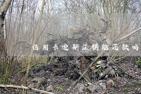 信用卡逾期注销能还款吗 信用卡逾期注销能还款吗