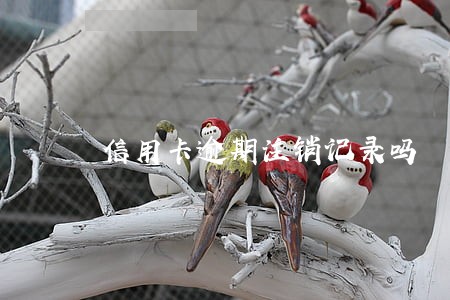 信用卡逾期注销记录吗 信用卡逾期注销记录吗