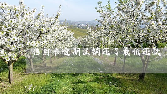 信用卡逾期注销还了最低还款 信用卡逾期注销还了最低还款