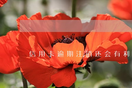 信用卡逾期注销还会有利息么 信用卡逾期注销还会有利息么