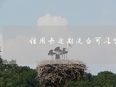 信用卡逾期洗白可以贷款吗