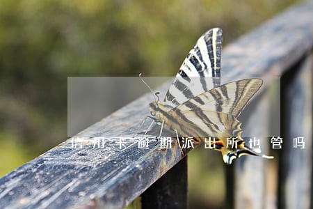 信用卡逾期派出所也管吗 信用卡逾期派出所也管吗
