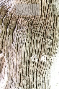 信用卡逾期派出所介入是否合法